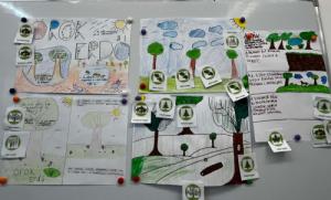 Fenntarthatósági Témahét az István Király Baptista Általános Iskolában